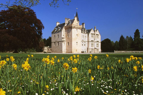 Castle with yellow flowers in foreground and clear blue sky in Spring